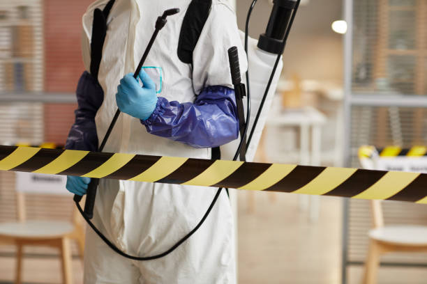 Professional Sewage Cleanup technician working in Arlington, AZ